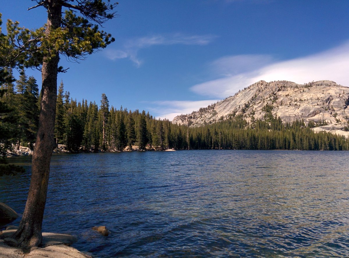 MasEdimburgo's tweet photo. Sabíamos que Yosemite sería una maravilla, pero no imaginábamos hasta qué punto... ☺️ #CostaOesteUSA https://t.co/4DPtuwzBNq