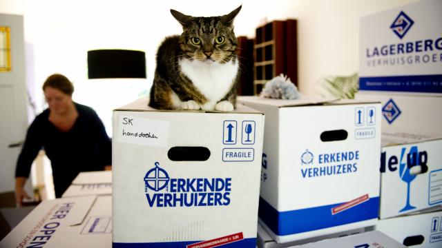 _woningmarkt's tweet photo. NIEUWS: Vooral jonge gezinnen met hoog inkomen verlaten grote stad. #Nationalewoningmakelaar https://t.co/5VtnKjXGlV https://t.co/mJPsqURsPk