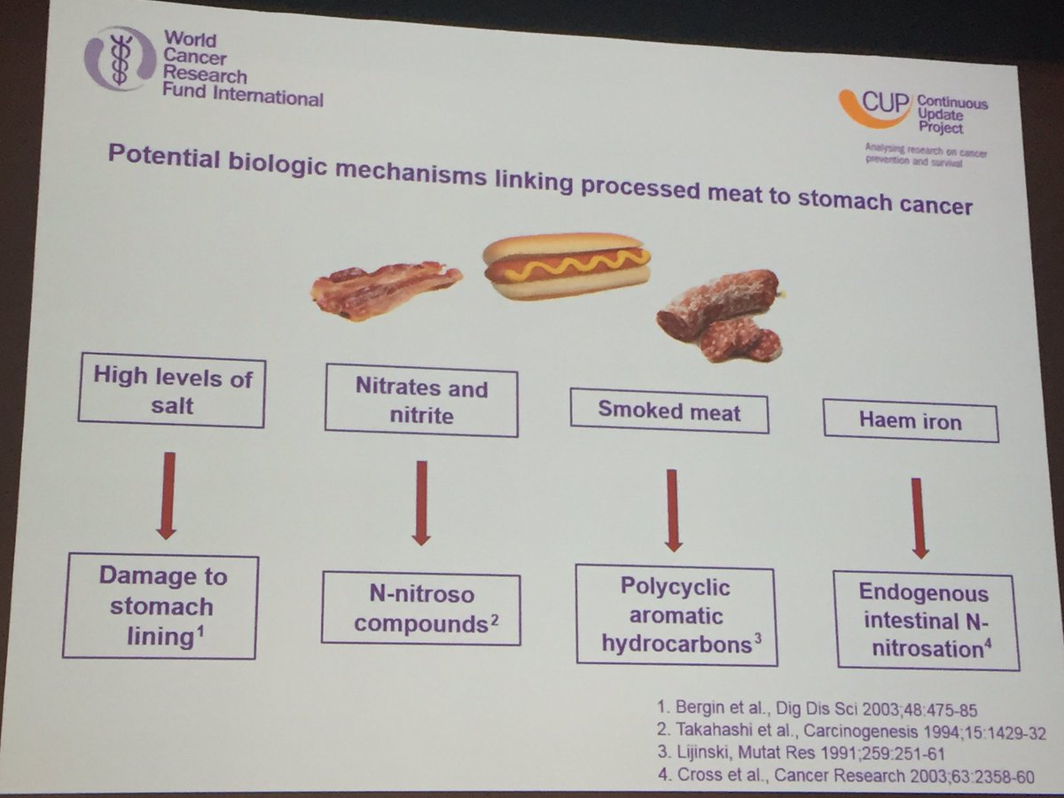 Potential mechanisms linking processed meat &amp; stomach cancer #IARC50 <a href="/wcrfint/">WCRF International</a> <a href="/IARCWHO/">IARC</a>