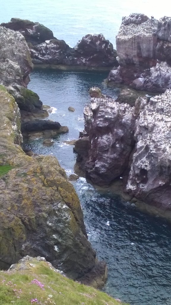 WOOLFISHKNIT's tweet photo. On a knitting retreat and we went up to St Abbs head. My favourite place in the whole wide world https://t.co/LFJtZ6fo88