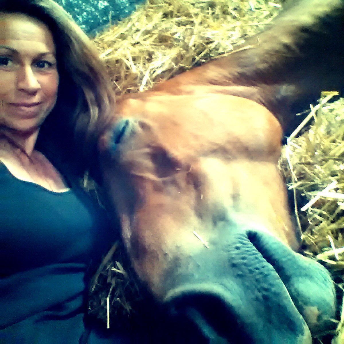 ClaireJ0802's tweet photo. @HorseHour Lie in with my smiley boy this morning https://t.co/v9Bqe9poib