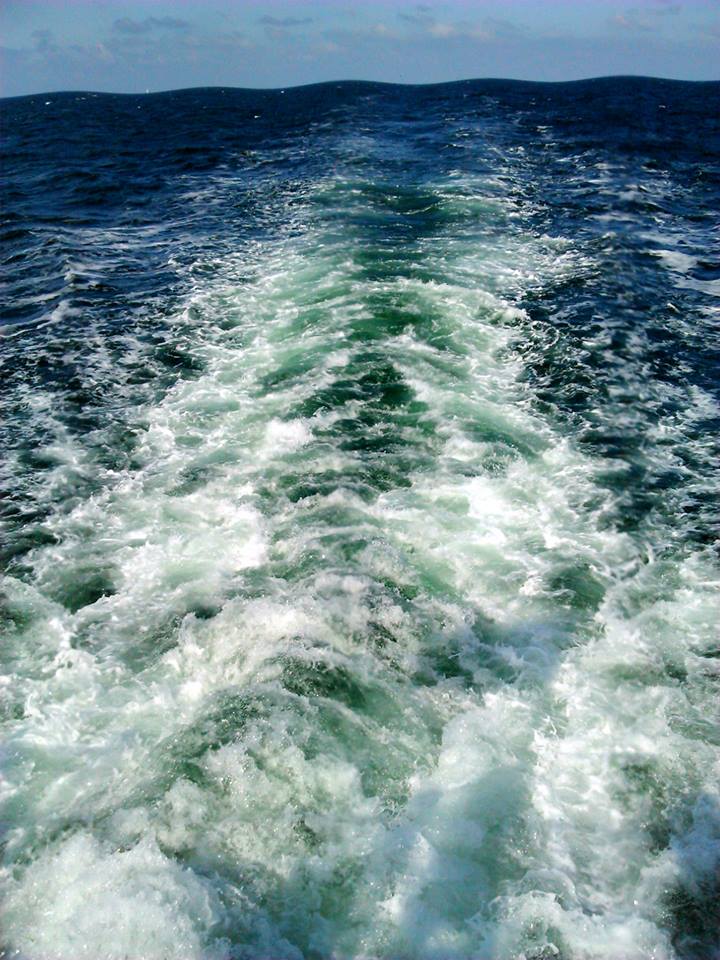 MickTurski's tweet photo. On this day. Two years ago
#TBT #BatlicSea #vessel #MaritimeUniveristy https://t.co/tAc7wVgAJo