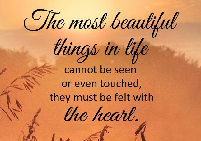 ProgramFor's tweet image. The most #beautiful things in #life cannot be seen or even touched. They must be felt with the #heart.