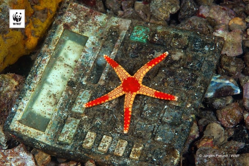 Sampah plastik merupakan jenis limbah yg paling banyak mencemari lautan #noplace4plastic #CoralTriangleDay