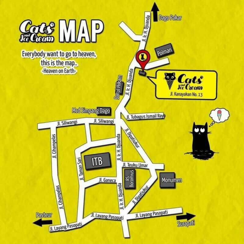 Hasil gambar untuk cats and ice cream bandung