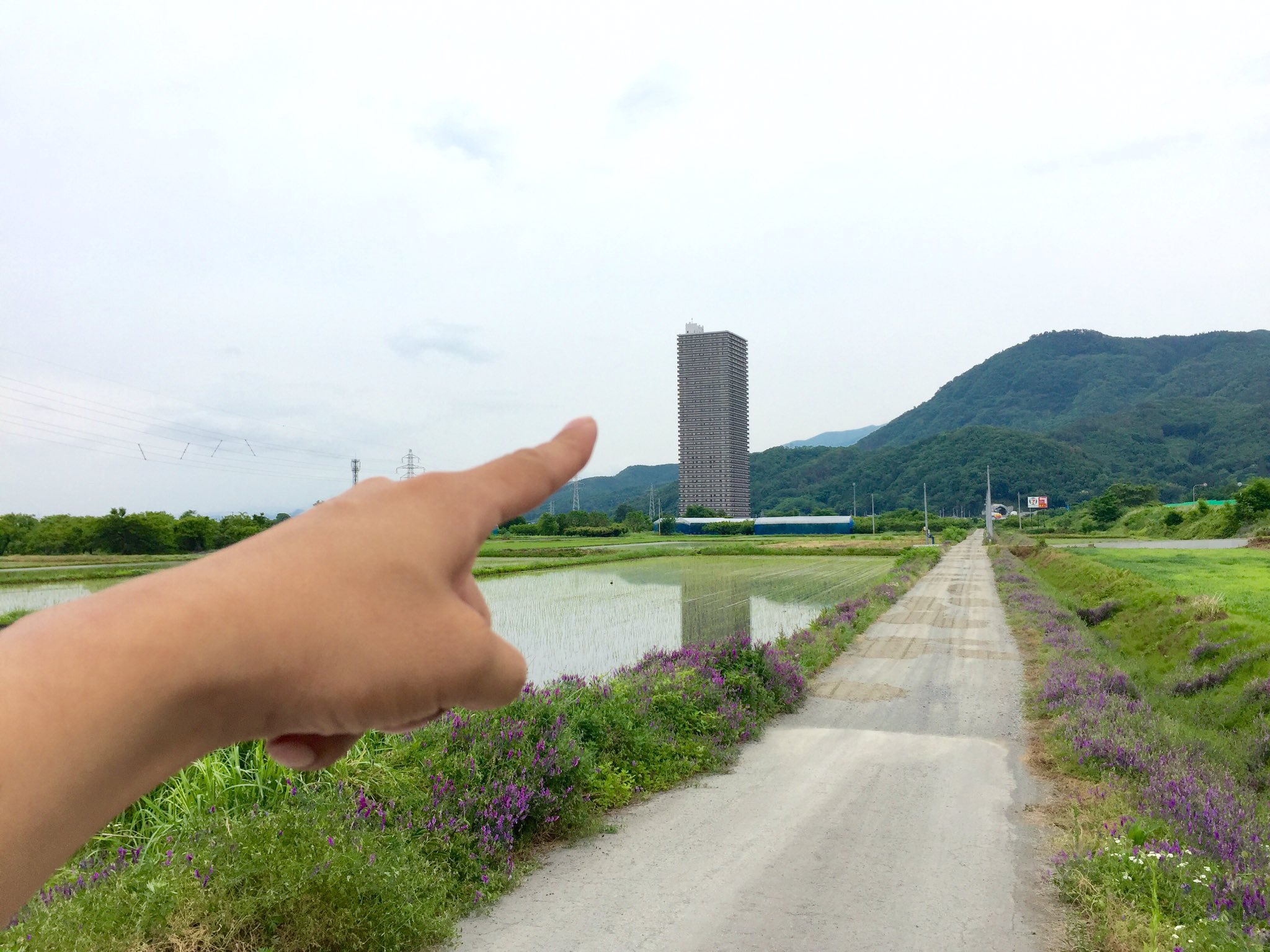 おやつ O O 田舎にだってタワマンぐらいあるんだから バカにしないでよねー もーっ T Co Hsekuwkvey Twitter