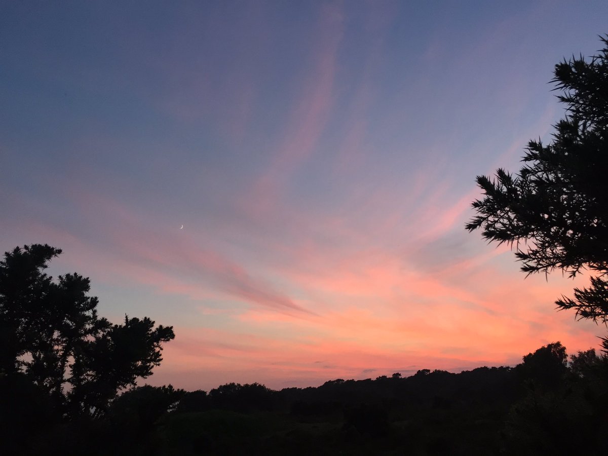 David Partridge tweet media