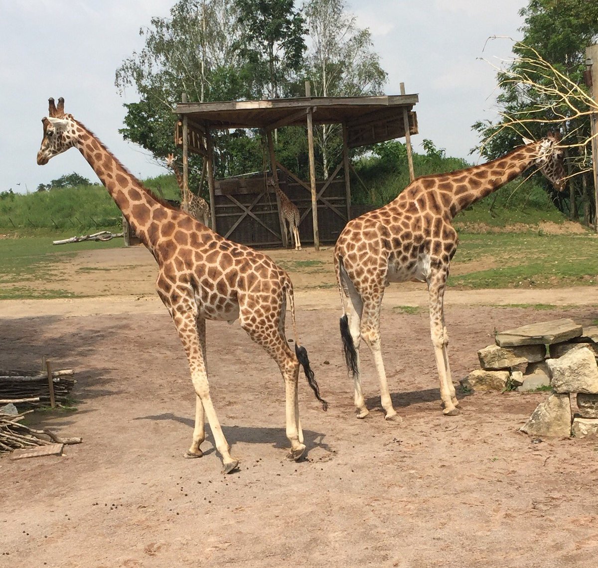 Come on #Kingston can you help #SeethingWells get neck and neck today? Vote community here britainhasspirit.com/vote-london/