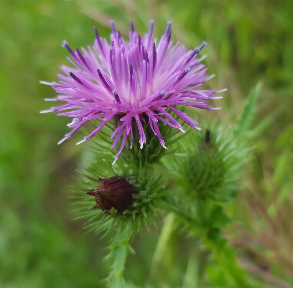 술잔 마주놓고 - 양광모

살아가는 일이 
시린 날이면,,

소주잔 두개
마주 놓고,,

밤새 너와
가슴 뜨거운 이야기 
나눠보고 싶다,,

生(생)이여!!