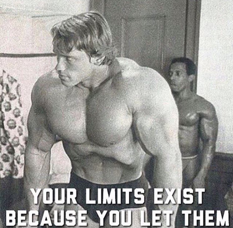 Fitness Wisdom tweet media