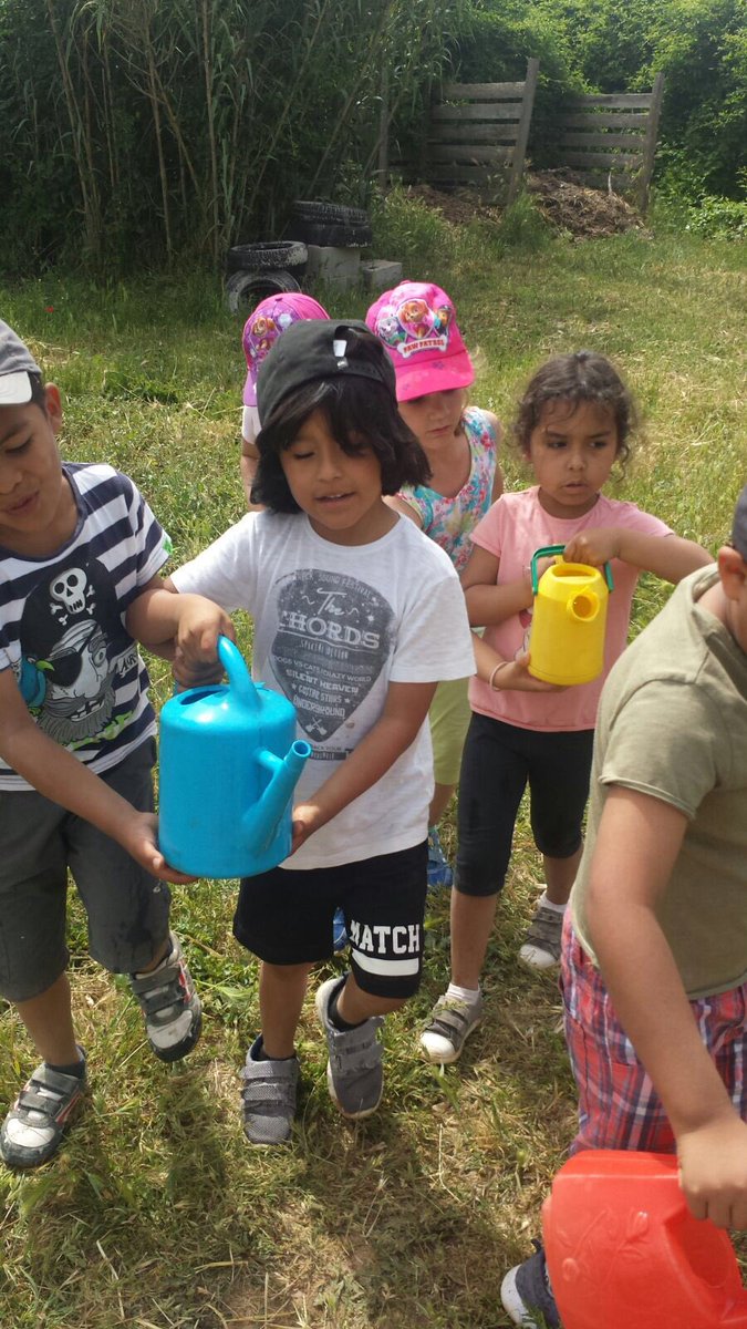 stgervasi's tweet photo. Després de plantar, regem els enciams! #stgervasi #colonias2016 https://t.co/KRzCDpfQ8h