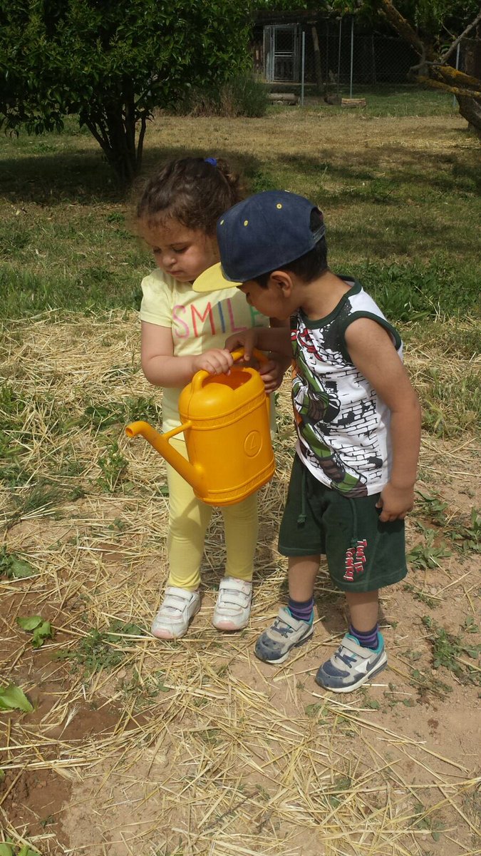 stgervasi's tweet photo. Després de plantar, regem els enciams! #stgervasi #colonias2016 https://t.co/KRzCDpfQ8h