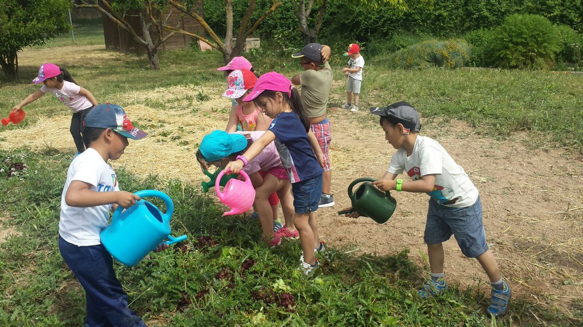 stgervasi's tweet photo. Després de plantar, regem els enciams! #stgervasi #colonias2016 https://t.co/KRzCDpfQ8h