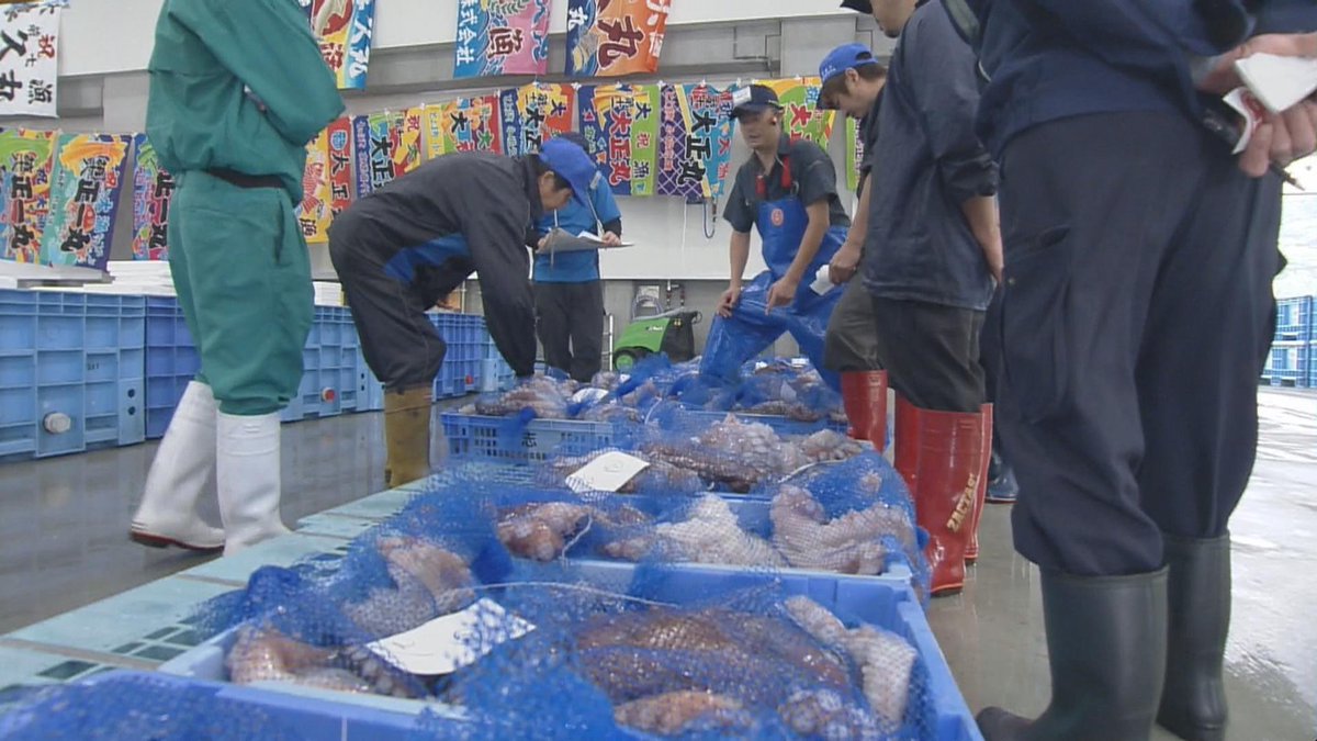 ট ইট র Tbc東北放送 報道部 震災の津波で大きな被害を受け 再建された南三陸町志津川の魚市場で 初競り まもなく特産のタコの漁が最盛期で市場は活気にあふれる