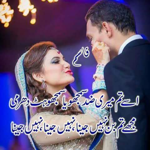 shaikh umershah (@umershahshaikh) on Twitter photo 