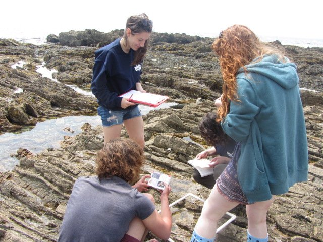 ShoreThing_MBA's tweet photo. Fantastic Shore Thing survey this week at Portwrinkle! Plymouth Uni students even found a (dead) Bull Huss shark!! https://t.co/TTBIE0smag