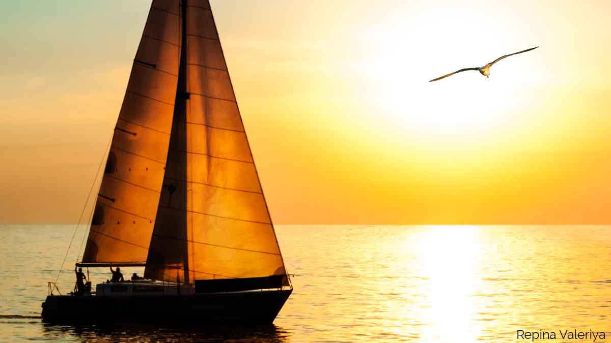 mrs_tourisme's tweet photo. ⛵ Les "Voiles du #vieuxport" sont de retour! Du 16 au 19 juin ;) #voile #Marseille #bateau⛵  https://t.co/UkTq5azBV0 https://t.co/dmKP8RsvNG