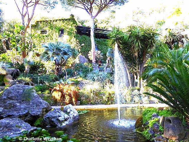Wonderful Italian Gardens @GrandiGiardini ... La Mortella, Ischia thegallopinggardener.blogspot.co.uk/2016/06/though…