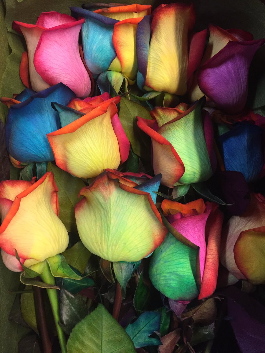 DanniiMinogue's tweet photo. They smells so sweet - rainbow roses @McCraigyDimples Thank you ✨✨✨ https://t.co/5sDBckm4gd