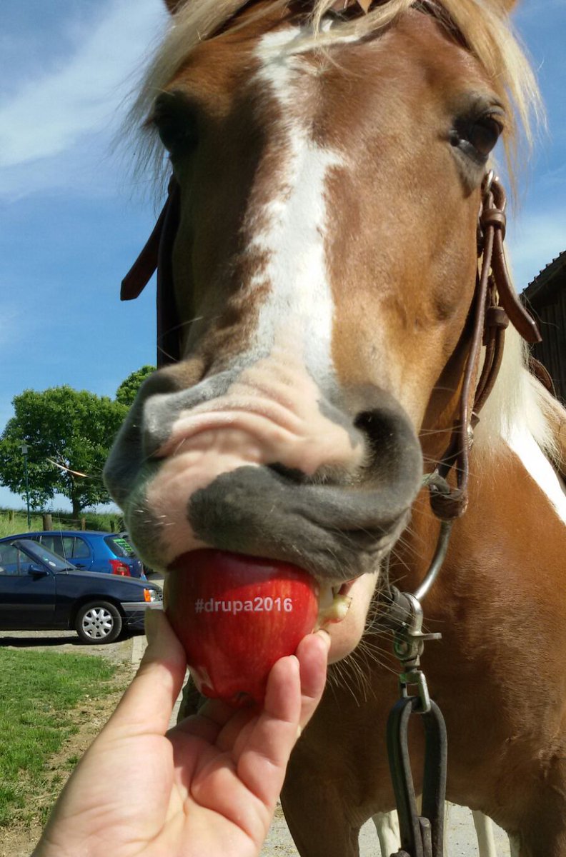 drupa's tweet photo. We received this great picture yesterday: Seems like not only the #drupa2016 visitors enjoy our apples. ;) https://t.co/9vxK8kbR88