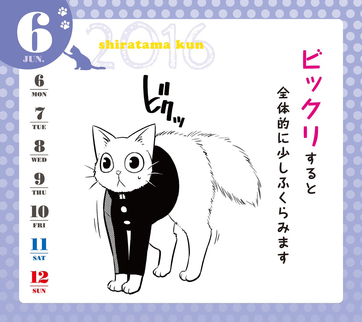 週刊ヤングジャンプ編集部 En Twitter 本日発売yj28号 しらたまくん は話 白玉家の一員として成長中のキイちゃんは トイレも問題なし と思ったものの 子猫の育児に奔走中のしゃべる猫 白玉のカレンダーは こちらで T Co Dtn1od2opn