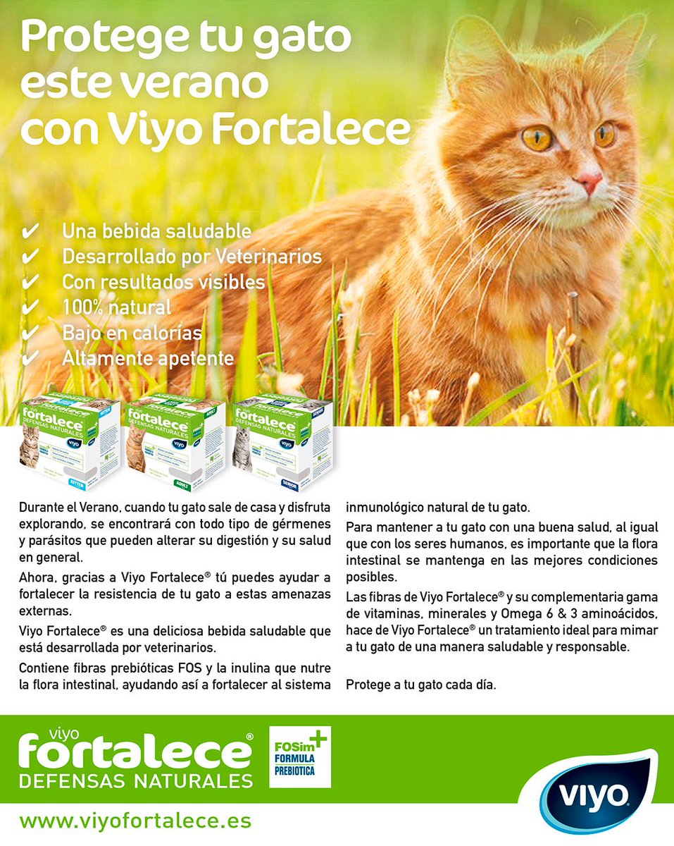 AnimalsdogSl's tweet image. Previene con @ViyoFortalece 
Pruébalo y te quedaras con el.