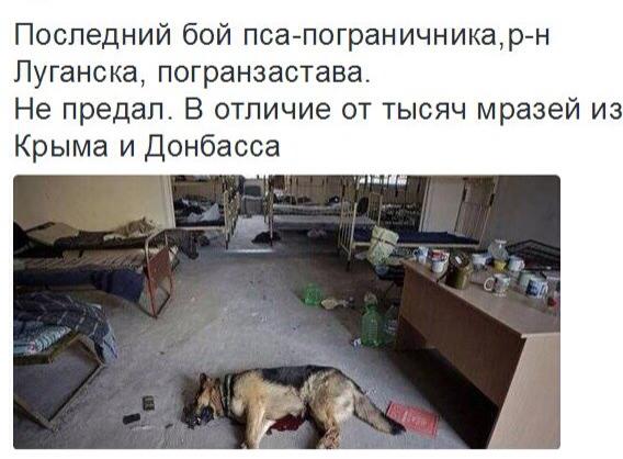 "За последние 2 года в Украине значительно ослабло влияние олигархов", - Гройсман - Цензор.НЕТ 9848