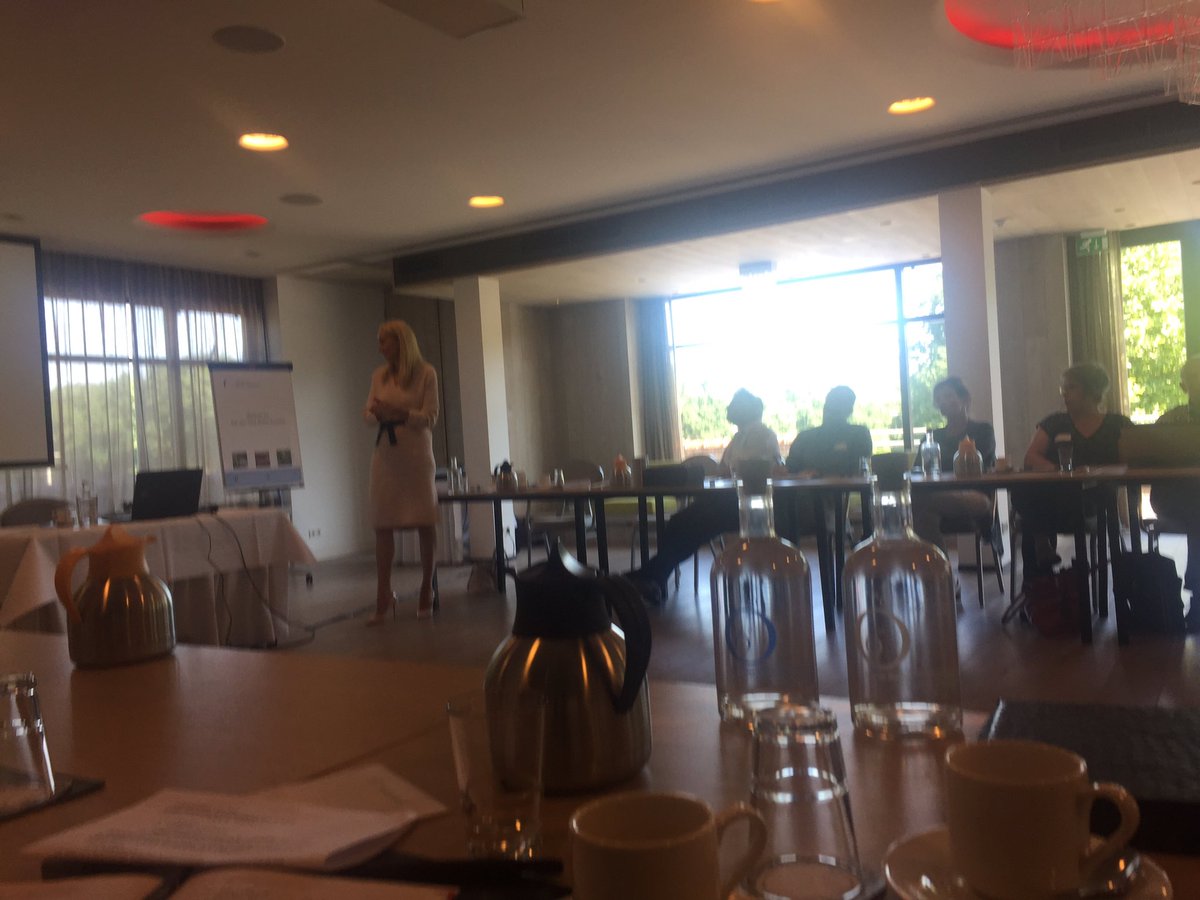 masi_mohammadi's tweet photo. Mooie opening van @Diana_de_Jong over Toekomstbestendige onderwijs en onderzoek @HANnl #LectorenPlatform https://t.co/NiCPe8Pbuz