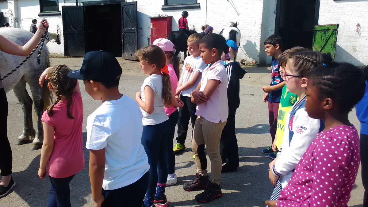 The Year 3 enjoyed there horse riding experience on Tuesday.
#horseriding