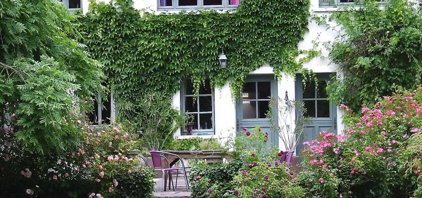 greenfactor_'s tweet image. Las mejores aliadas para combatir las altas temperaturas dentro de tu hogar en estas fechas son las #plantas