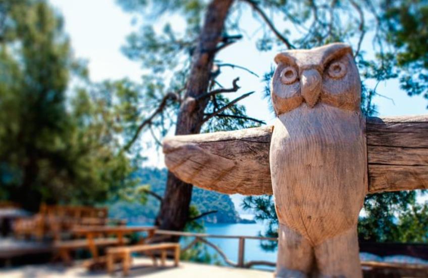 KampingTurkiye's tweet photo. Sitemize #Yeni Eklenen #Kamp Alanı: #Gemile #Beach #Lodge #Kabak #Fethiye #Muğla #Türkiye
https://t.co/YInecHUBwS https://t.co/fuIYNRdlEE