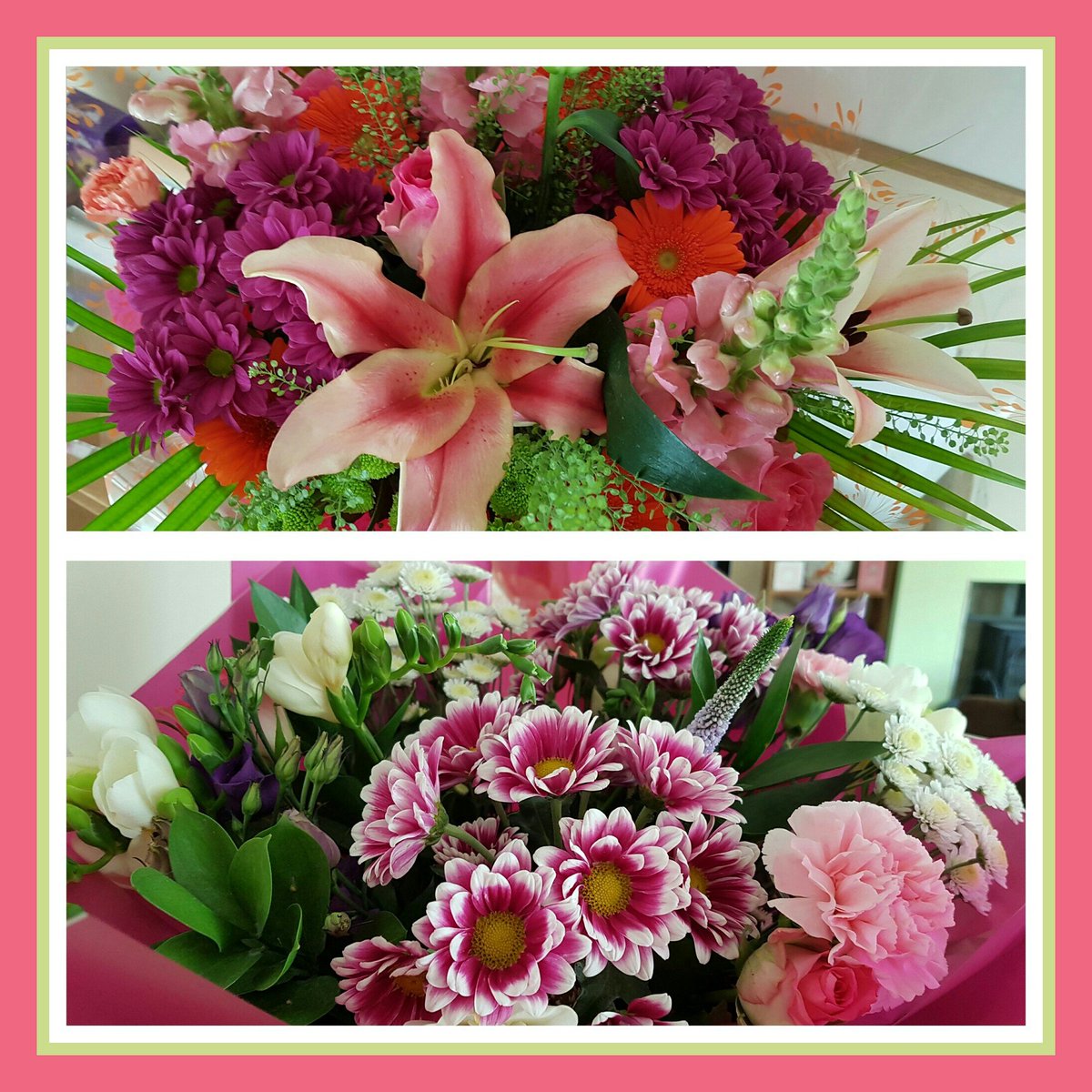 AccessToFashion's tweet photo. Beautiful flowers for my birthday! 😊💐
#accessorytofashion #accessories #birthday #flowers #beautiful #love #family https://t.co/ueZpZEvpGJ