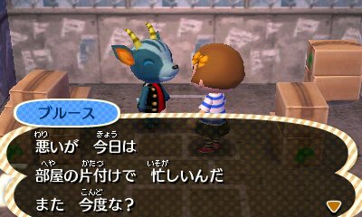 めい とび森 Mei Senbei Twitter