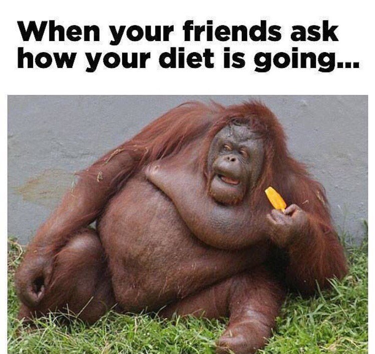 Fitness Wisdom tweet media