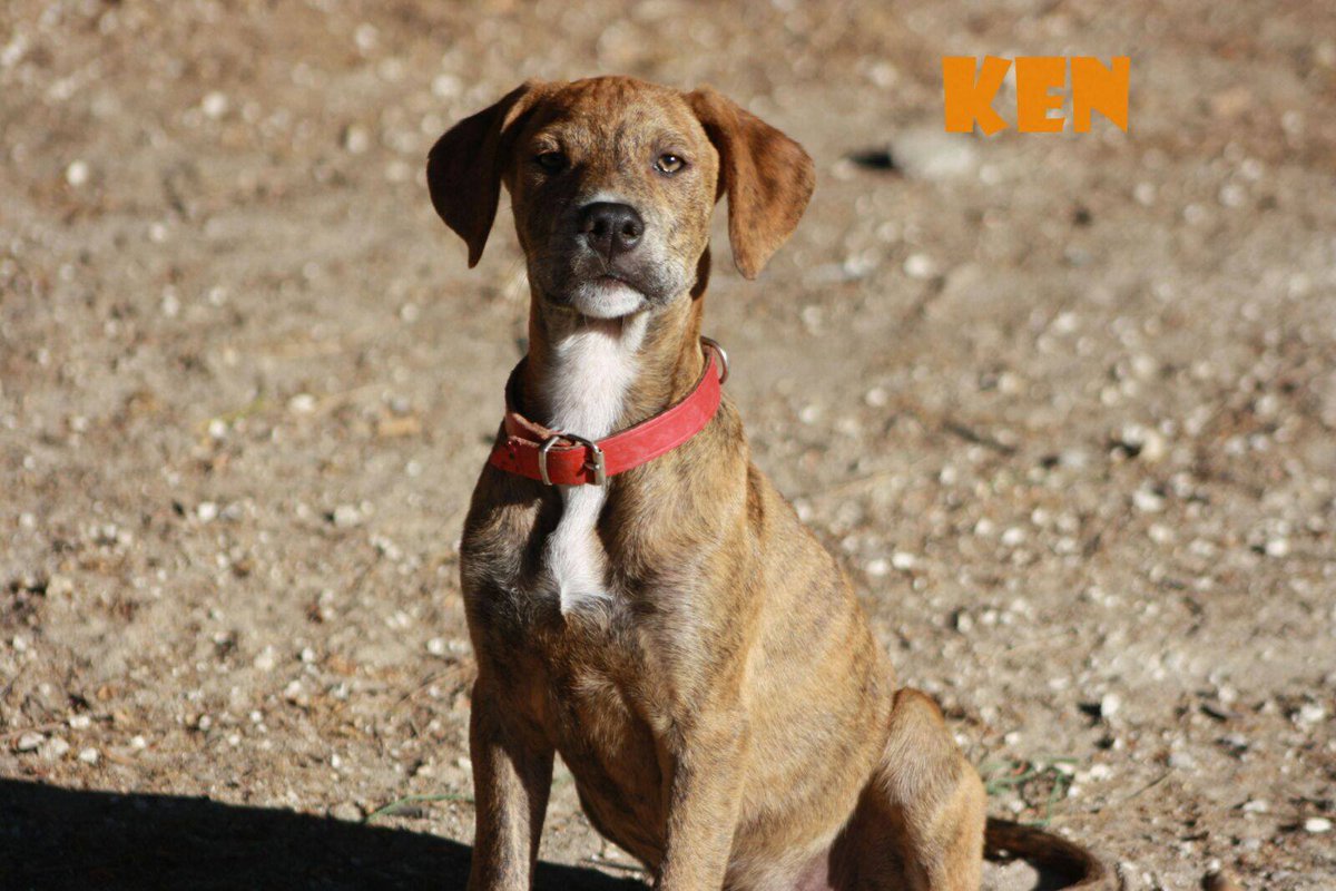 arabarbate's tweet photo. https://t.co/Vm4Q5dw2hF