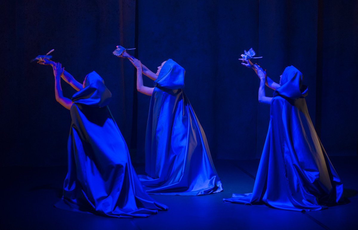 #Aracaladanza's #Vuelos #ThroughTheLense of Pedro Arnay goo.gl/vTg7oH #contemporarydance #ballet #photos