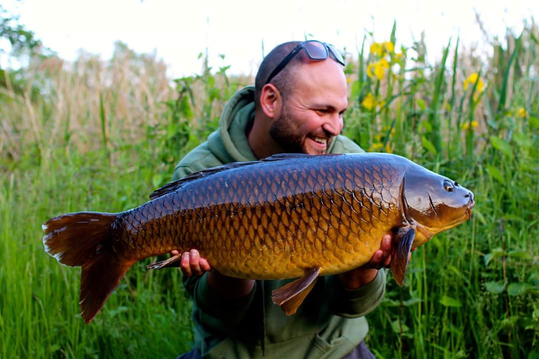 Couple of hours after work last night and managed this one off the top just over 21lb. Trimmed down manilla pop up!