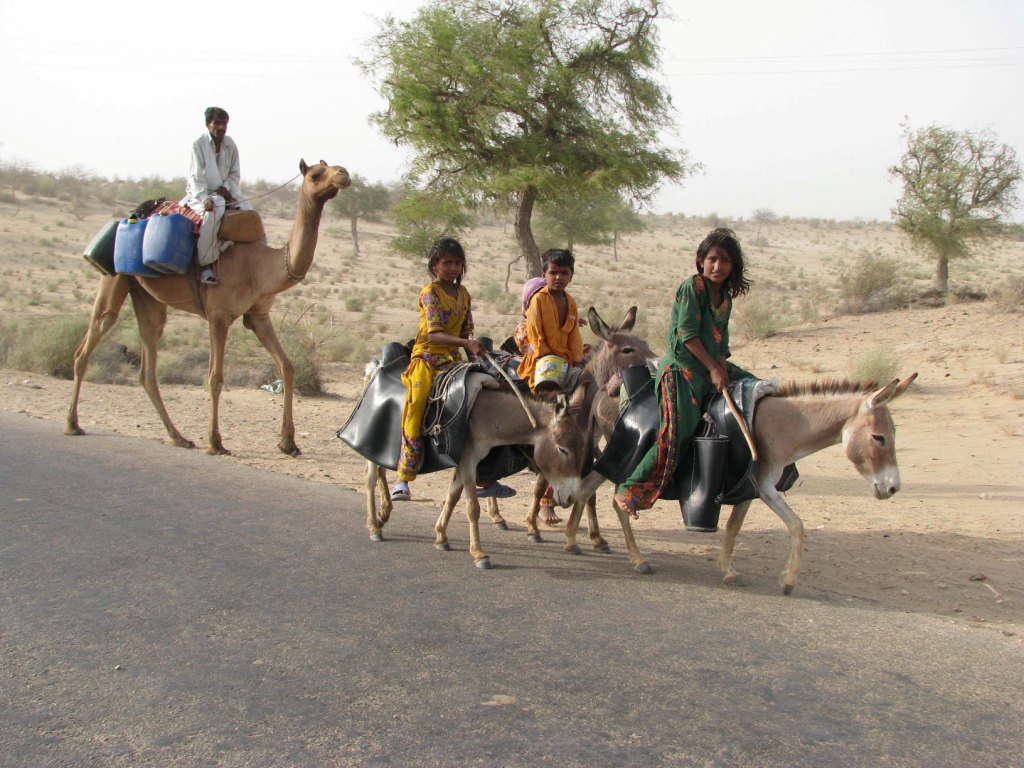 amarguriro's tweet photo. Children routinely spend hours to get water in many parts of Thar Desert.
#water #thar
@RiazSangi @MushRajpar https://t.co/QmQJ5CKr4K
