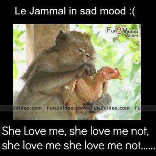 Likebles's tweet photo. Monkey in love
https://t.co/d8JAiSmB7U

#Monkey #in https://t.co/a7PAfcDCj7