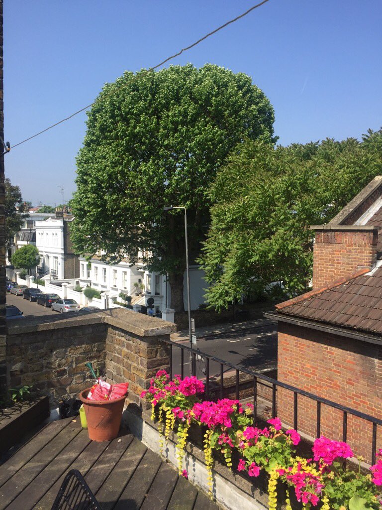 PrincipiaLondon's tweet photo. View from the terrace at one of our #EdithGrove buildings. Investigating damp one of our contractors #OnSite https://t.co/6xSyApYR9P