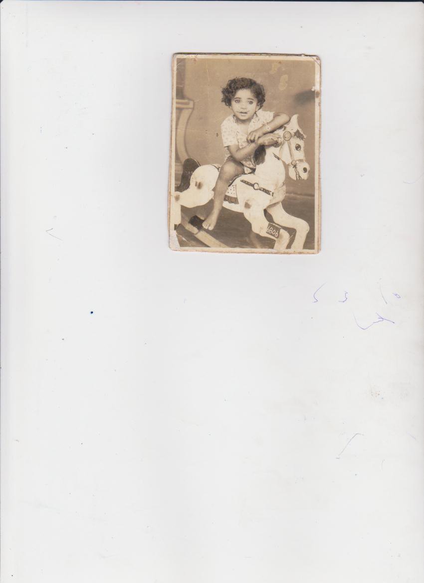 socrates on Alexenders horse