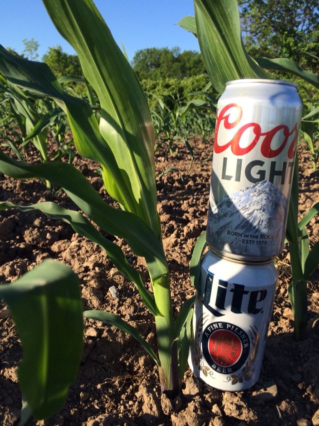 seedgreg's tweet image. #plant16 201-00 V5 in NY. Measuring cans #placed to perform