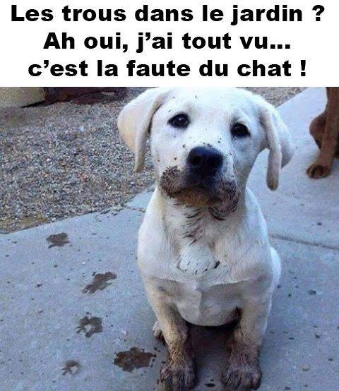 lepetitflaubert's tweet image. Je le jure! Ce n'est pas moi