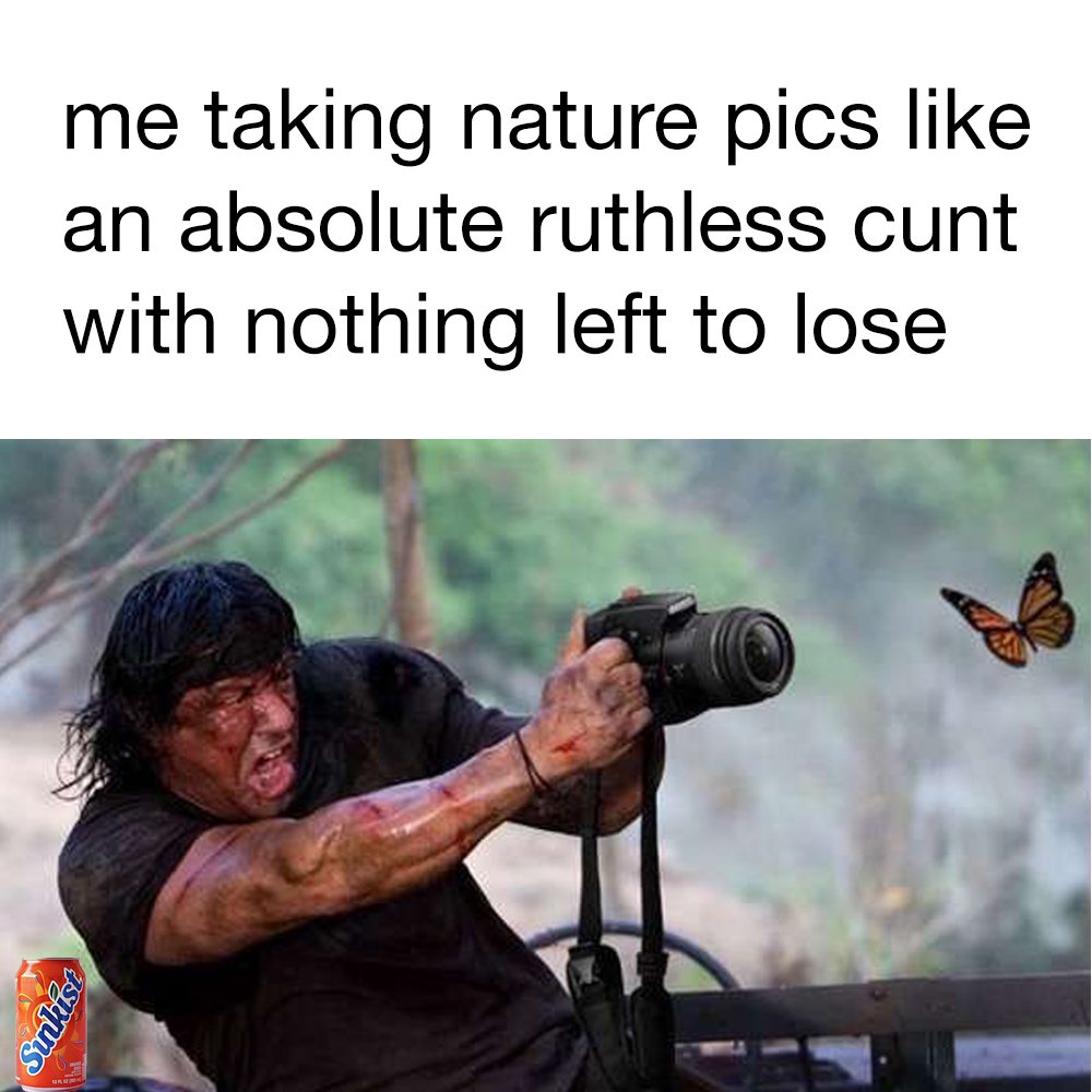375mL_Sunkist's tweet photo. -gets parents to buy new dlsr
-sets up a photography page on facebook
-watermarks every single image https://t.co/Y1lYYVukC4