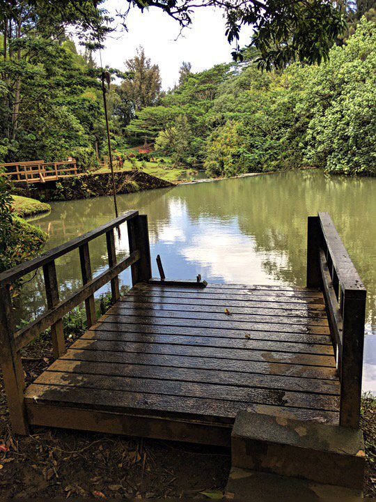 MargotCMartin's tweet photo. #StoneDam #Swimminghole #Kauai #Hawaii #Photography #iPhoneography https://t.co/coiCRfjfHr