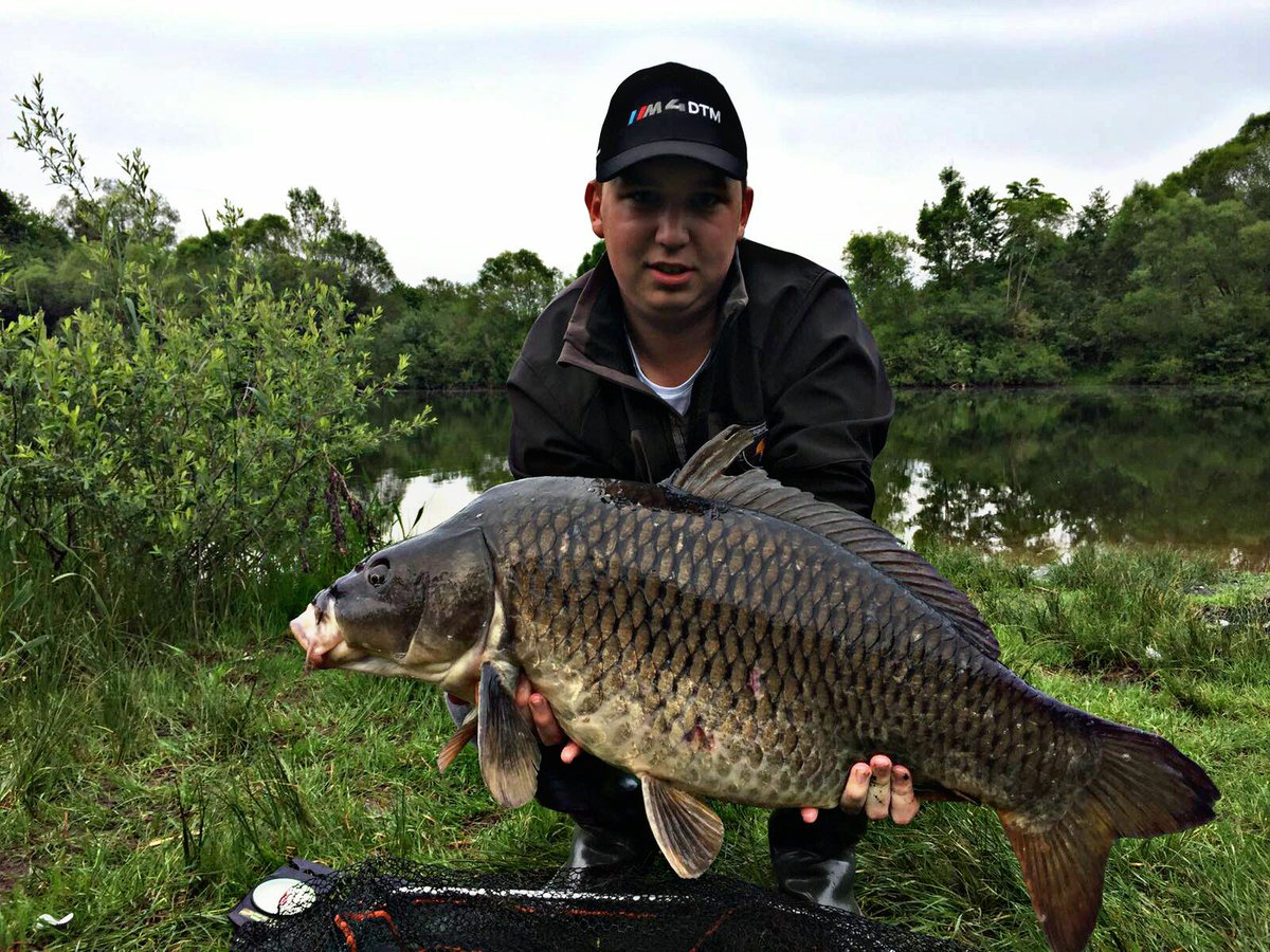 timlay98's tweet image. 11.4kg 💪 #carp #fast #schuppi #fight