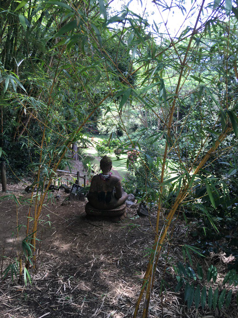 MargotCMartin's tweet photo. "What you think, you become. WHAT YOU FEEL, YOU ATTRACT. What you imagine, you create." #BUDDHA #Kauai #Photography https://t.co/ZxGIJ7F9Nt