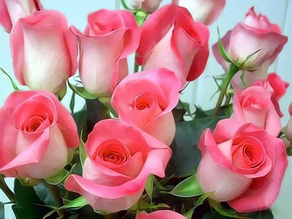 6월의 시

하늘은 고요하고
땅은 향기롭고, 마음은 뜨겁다.
6월의 장미가 말을 걸어옵니다.
"밝아져라. 맑아져라"
사랑하는이여!
이 아름다운 계절에 기쁨 한송이
받으시고 내내 행복하소서 ..

-이해인
.