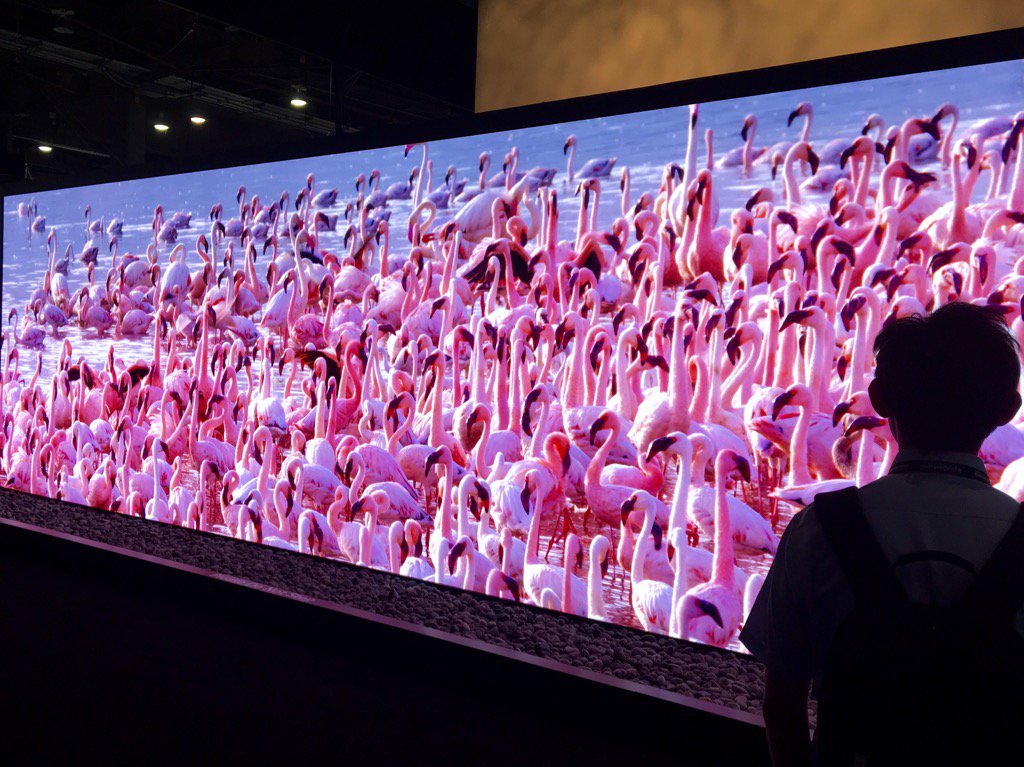 The <a href="/Sony/">Sony</a> Canvas is the best display I've ever seen. I believe the technology is called #OMFG #InfoComm16