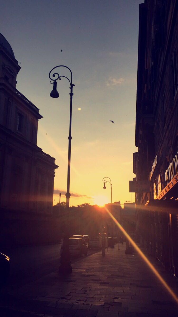 RomErasmus tweet media